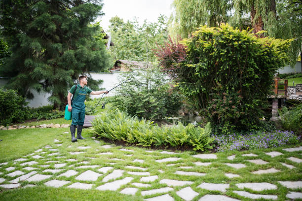 Professional Tree Services in Uvalde, TX
